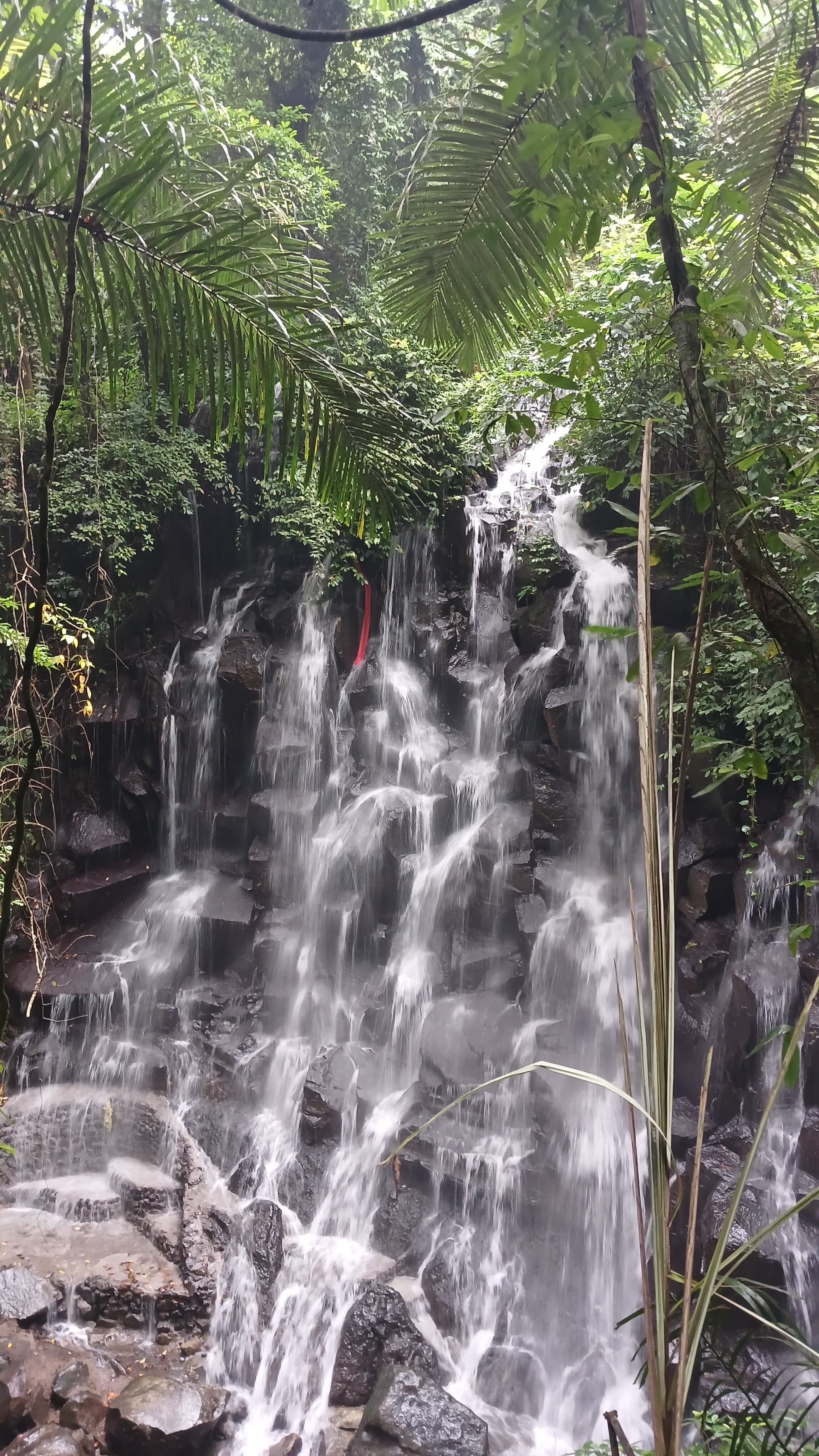 Bali — photo 5