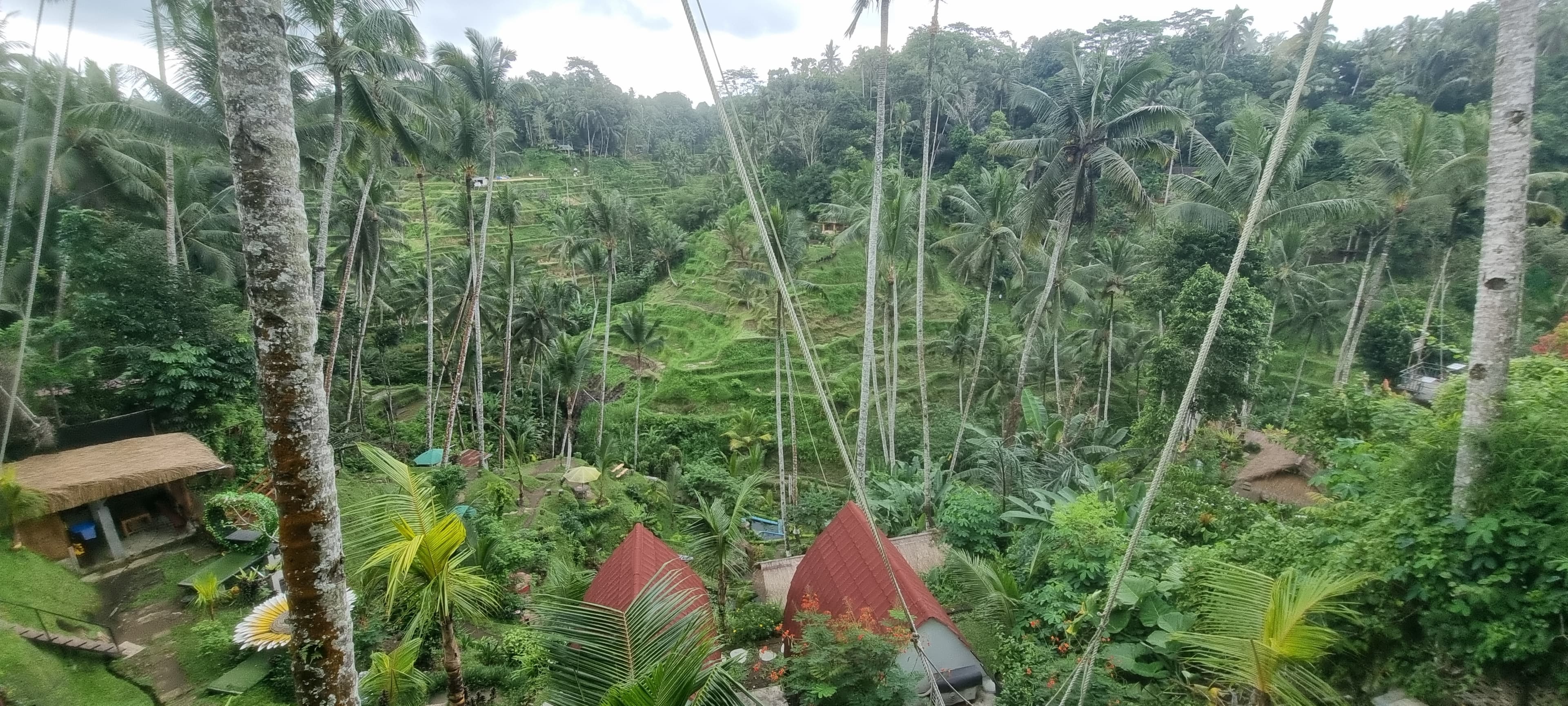 Bali — photo 16