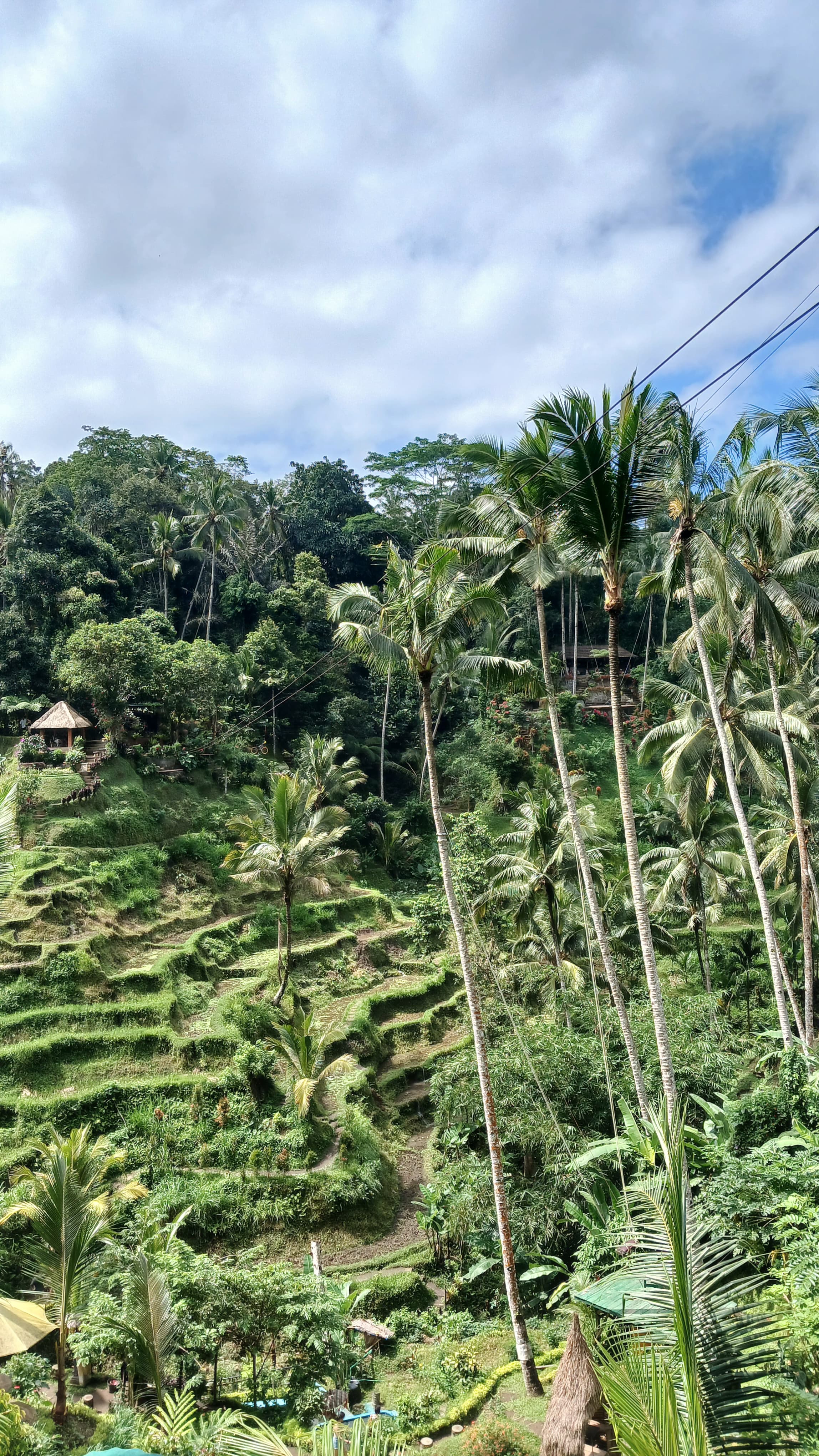 Bali — photo 24