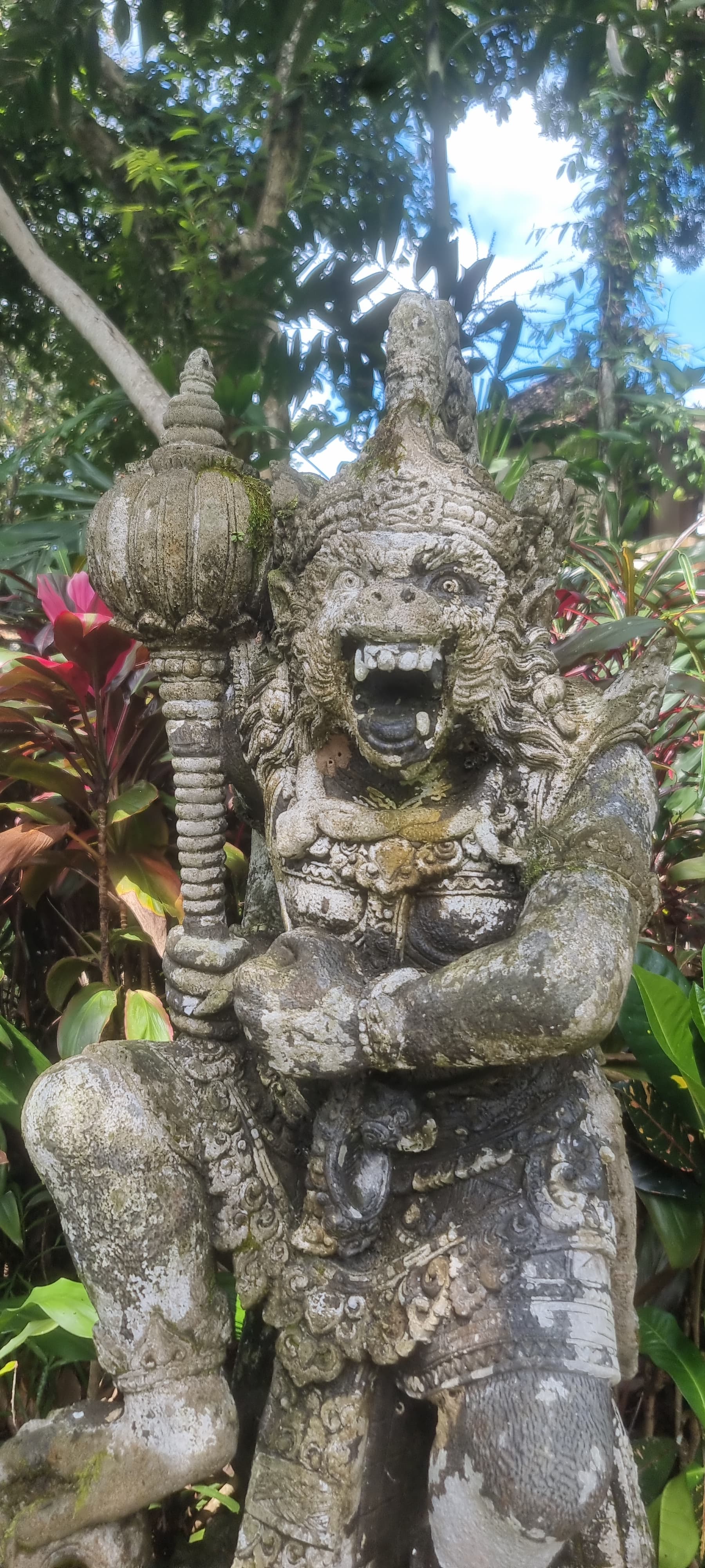 Bali — photo 27